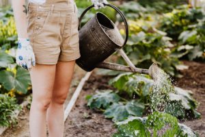 Mantenimiento de Jardines. Tips y Consejos Útiles