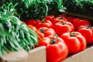 Cómo Cultivar Tomates – Guía Completa